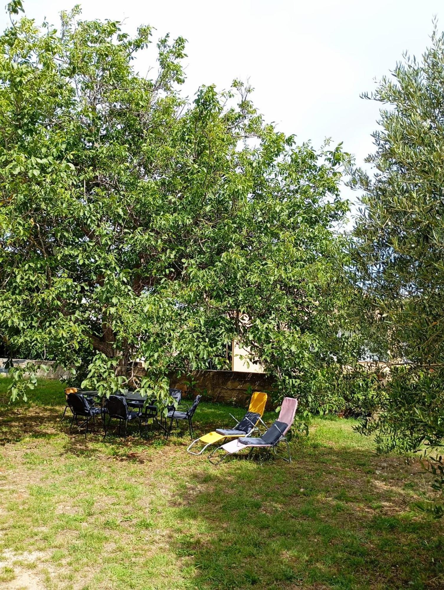 Apartmani Joja Biograd Na Moru Exteriör bild